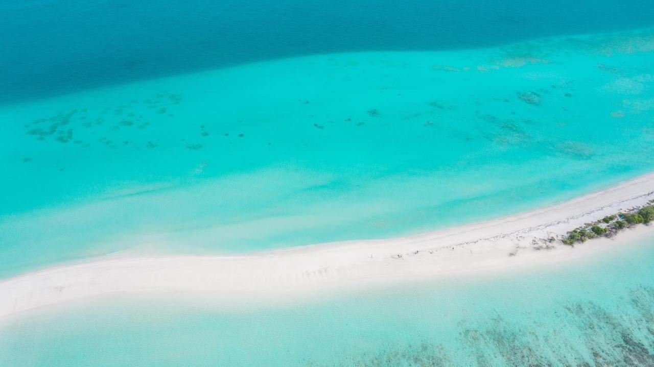 Sands Grand ديجوراه المظهر الخارجي الصورة